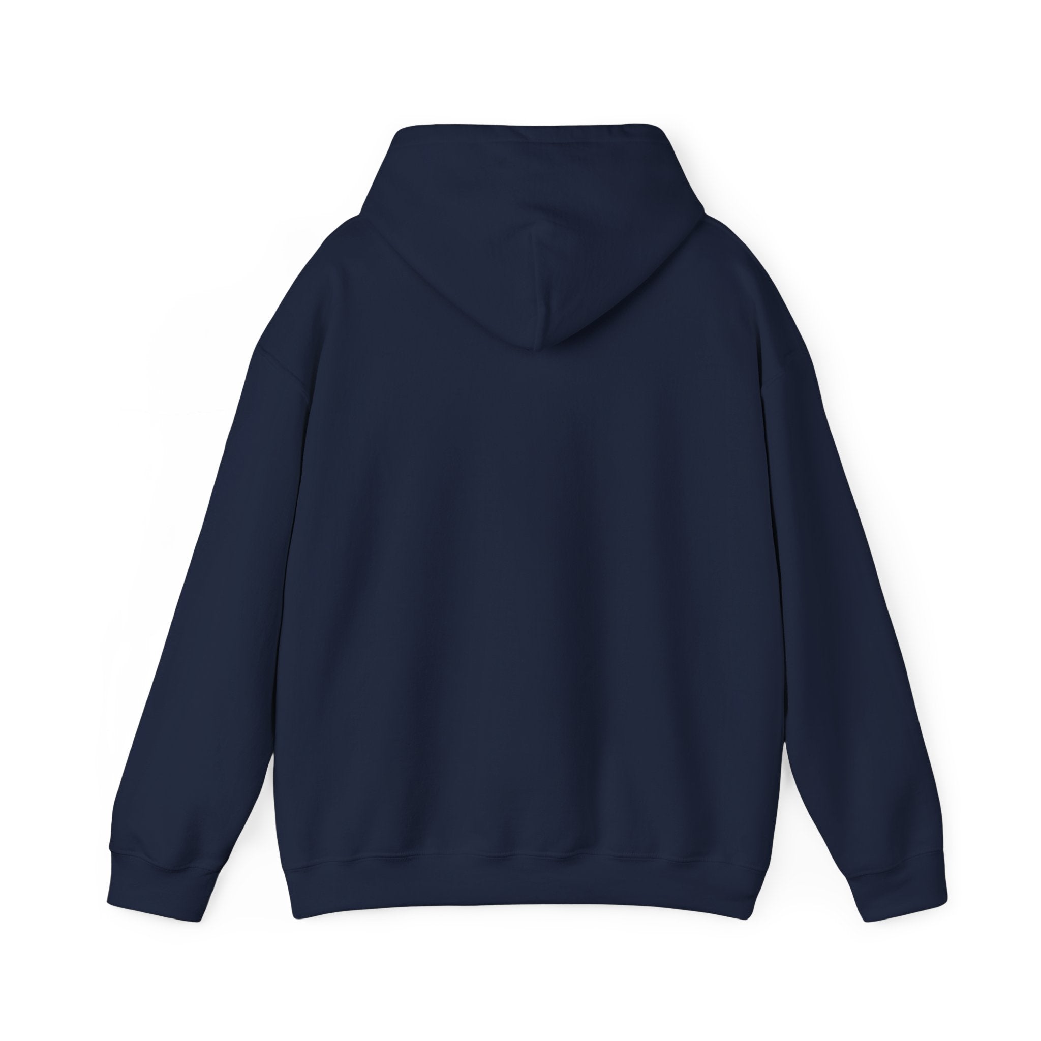 Faith Over Fear (White) - Unisex Hoodie