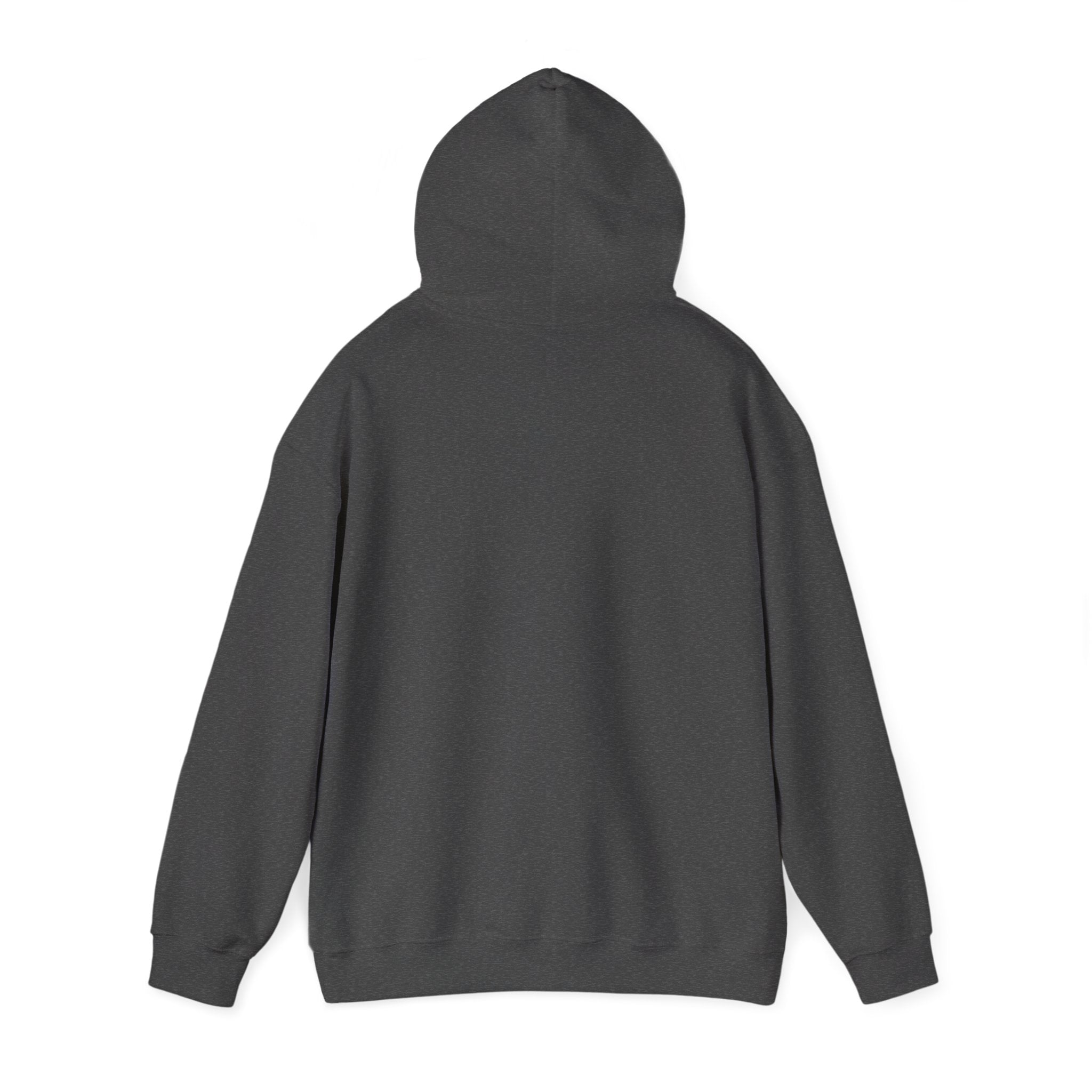 Faith Over Fear (White) - Unisex Hoodie