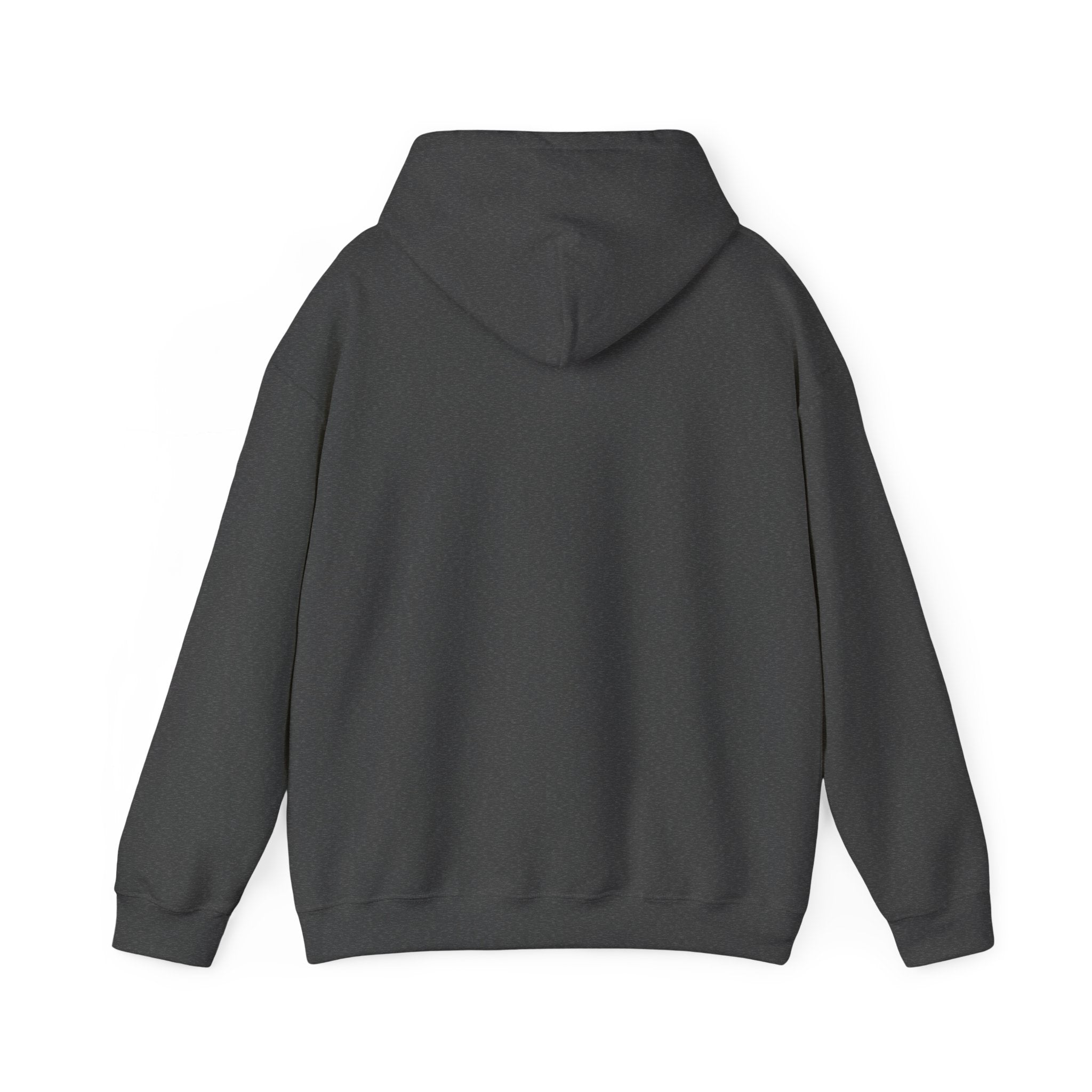 Faith Over Fear (White) - Unisex Hoodie