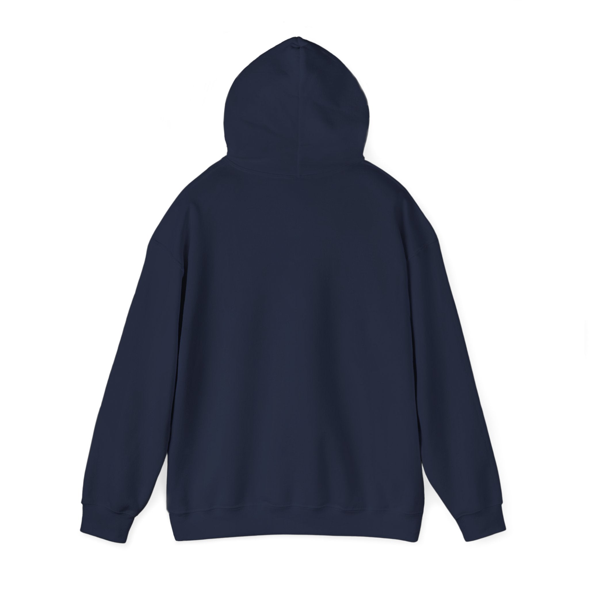 Faith Over Fear (White) - Unisex Hoodie