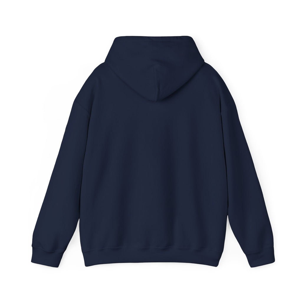 Faith Over Fear (White) - Unisex Hoodie
