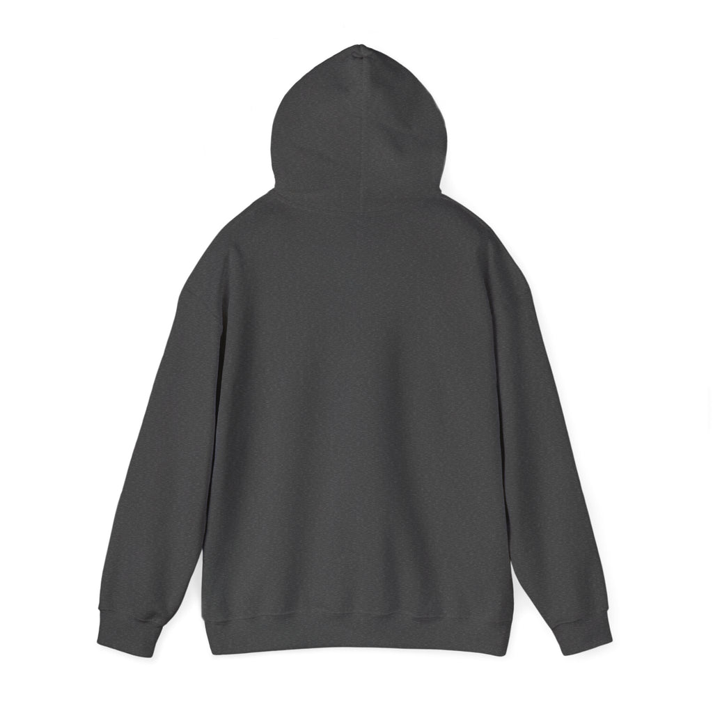 Faith Over Fear (White) - Unisex Hoodie